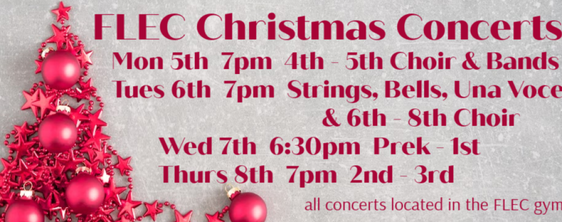 christmas events (3)